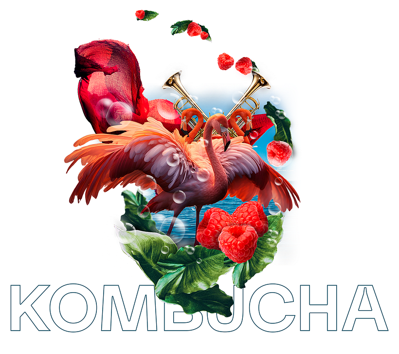 Kombucha design 2