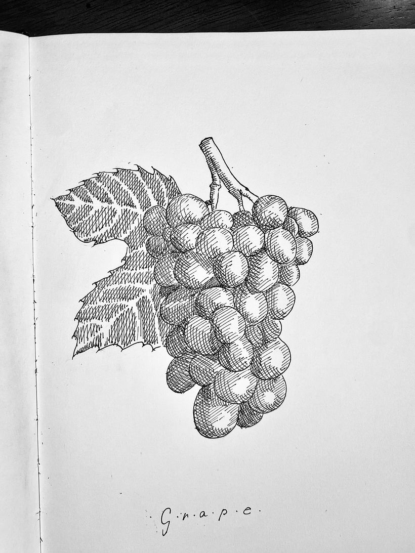 Meu projeto do curso: Ilustração botânica: do caderno à arte-final 3