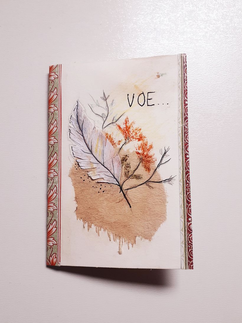 capa do livrinho Voe..