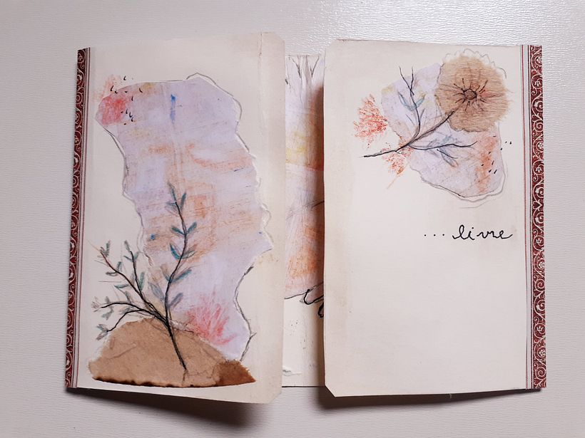 ...livre