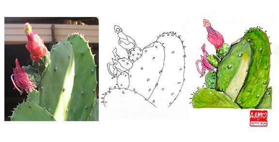 Mi proyecto del curso: Sketchbook botánico: una aproximación meditativa 2