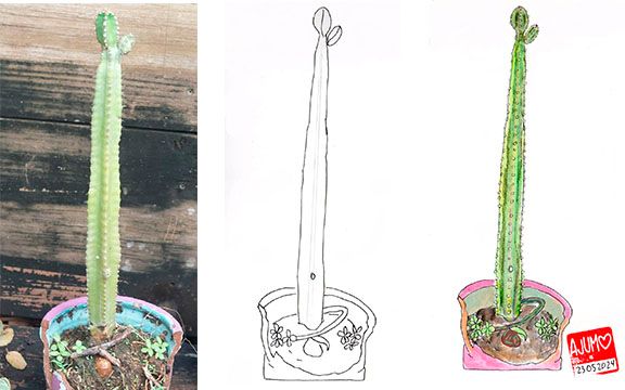 Mi proyecto del curso: Sketchbook botánico: una aproximación meditativa 2