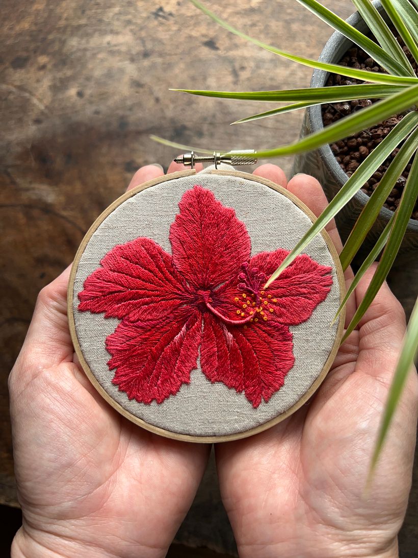 Hibiscus in Ishigaki Island 1