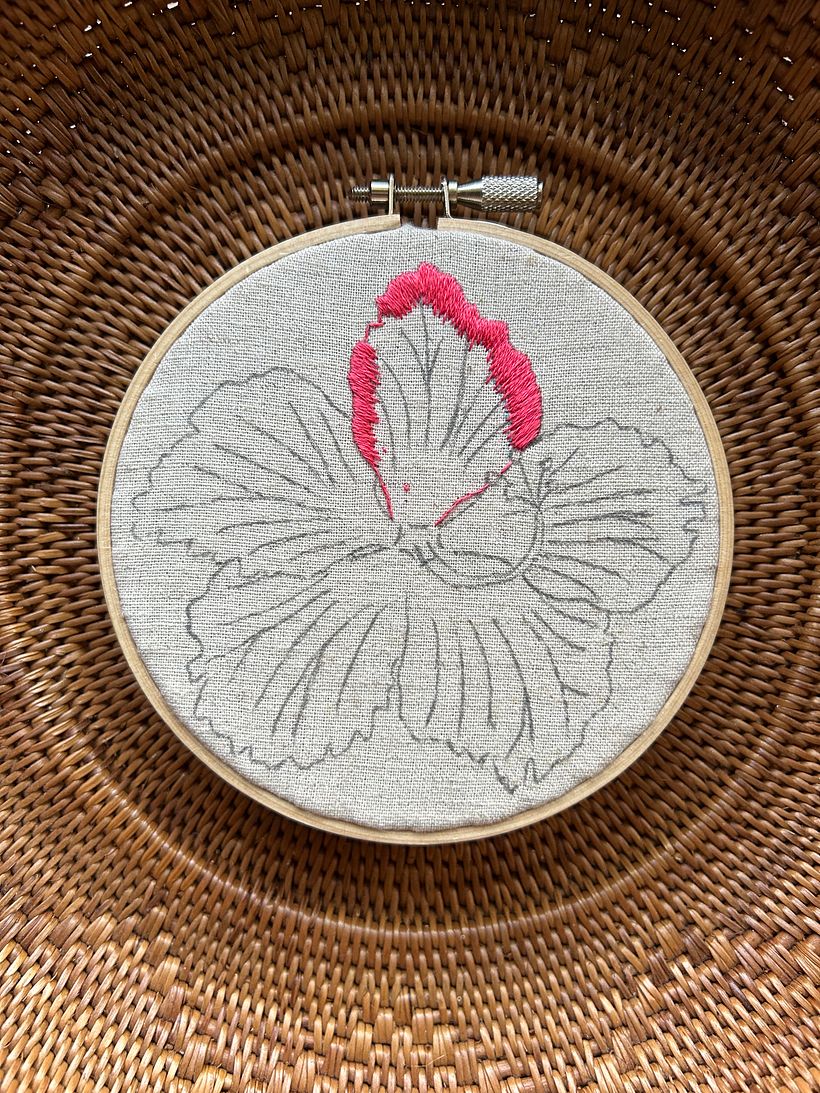 Hibiscus in Ishigaki Island 3