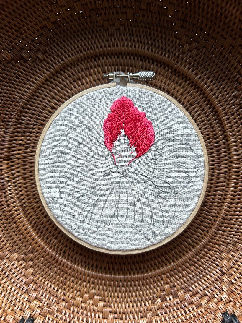 Hibiscus in Ishigaki Island 4