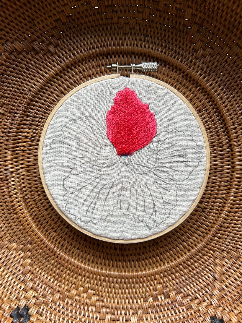 Hibiscus in Ishigaki Island 5