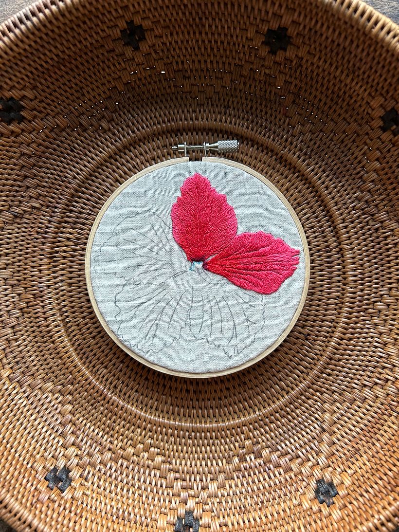 Hibiscus in Ishigaki Island 6