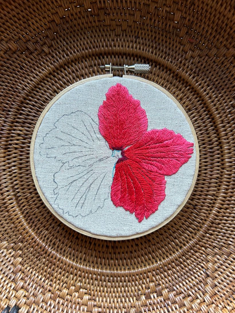 Hibiscus in Ishigaki Island 7