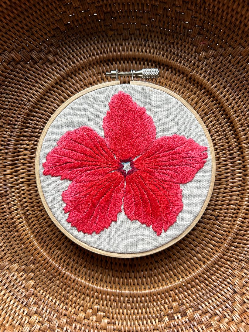 Hibiscus in Ishigaki Island 9