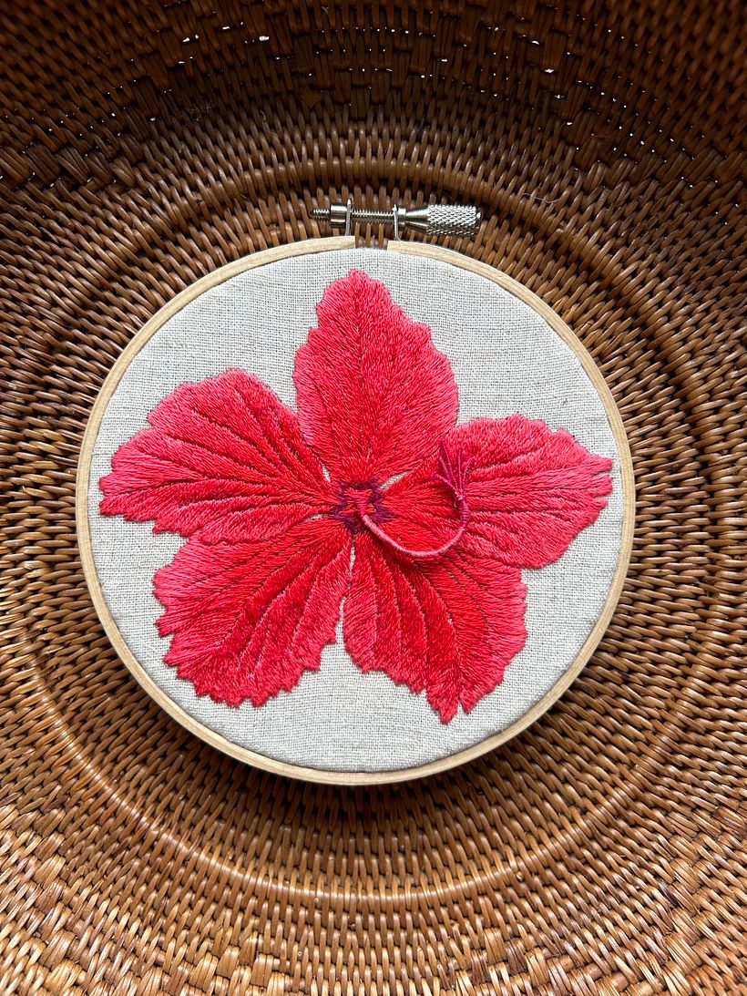 Hibiscus in Ishigaki Island 10