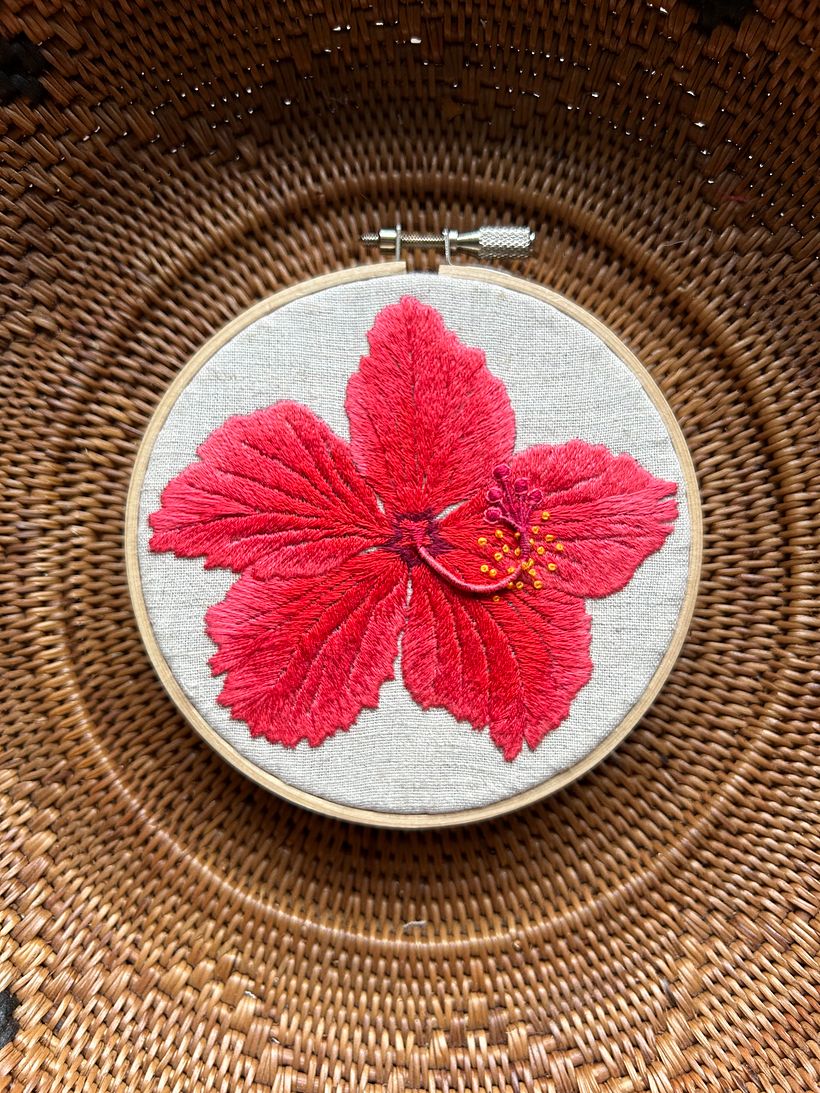 Hibiscus in Ishigaki Island 11