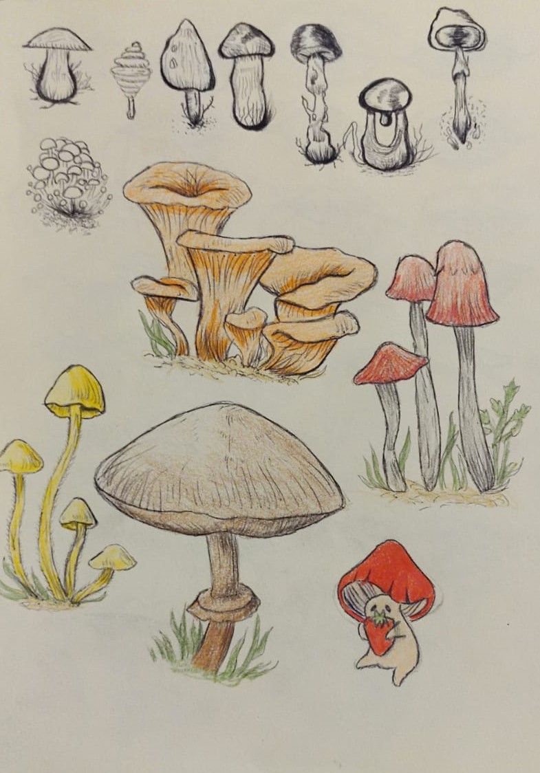 Mi proyecto del curso: De principiante a superdibujante 9