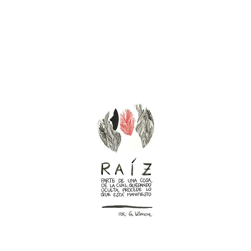 Raíces 12