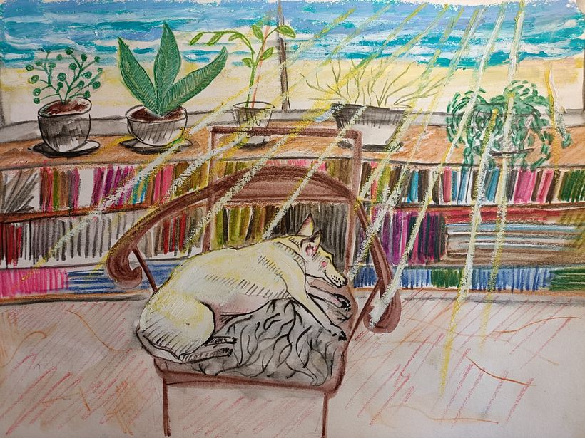 Blanqui sunbathing in his armchair.