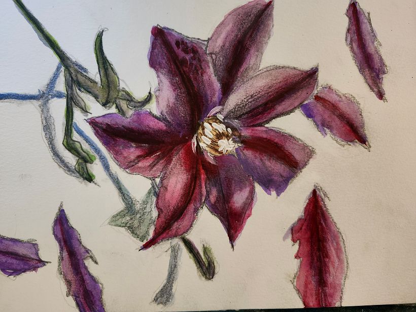 My project for course: Botanical Illustration with Watercolors 1
