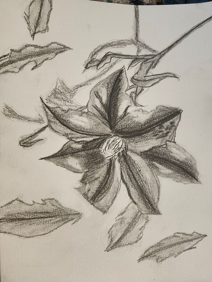 My project for course: Botanical Illustration with Watercolors 2