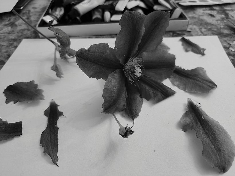 My project for course: Botanical Illustration with Watercolors 3