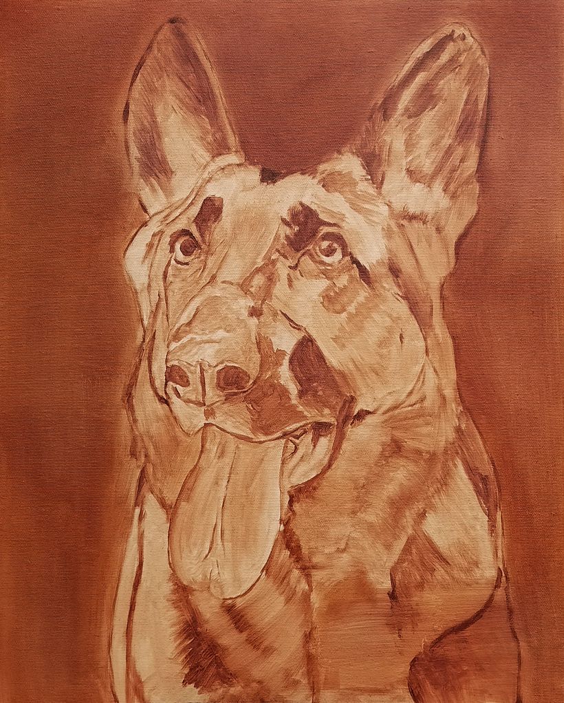 Portrait of a German Shepherd / Retrato de pastor alemán 5