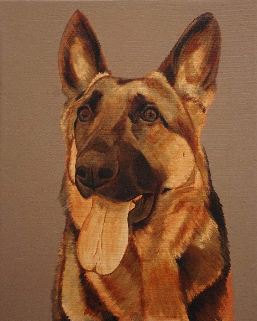 Portrait of a German Shepherd / Retrato de pastor alemán 6