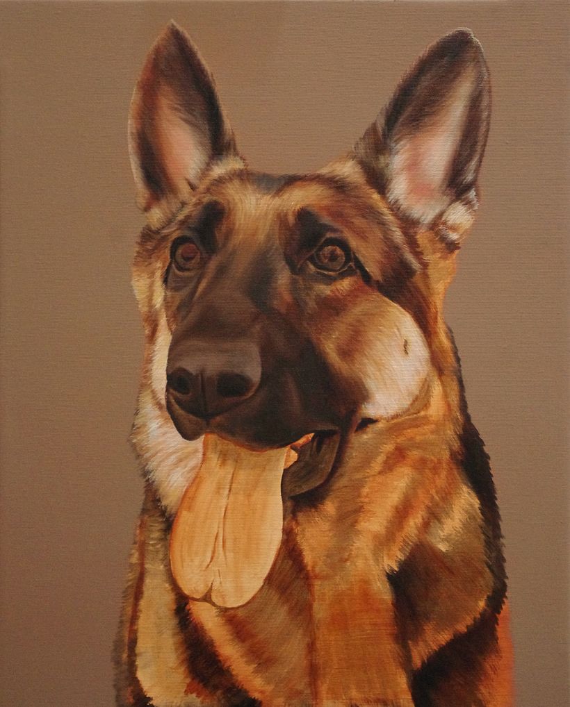 Portrait of a German Shepherd / Retrato de pastor alemán 7