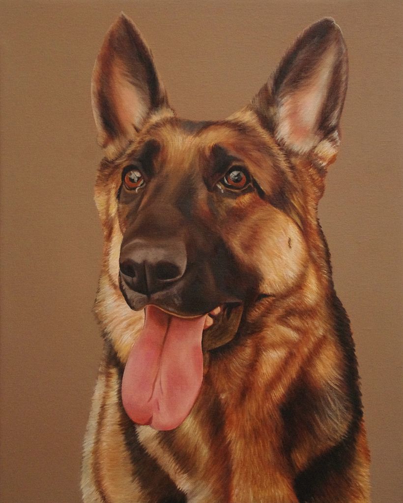 Portrait of a German Shepherd / Retrato de pastor alemán 8