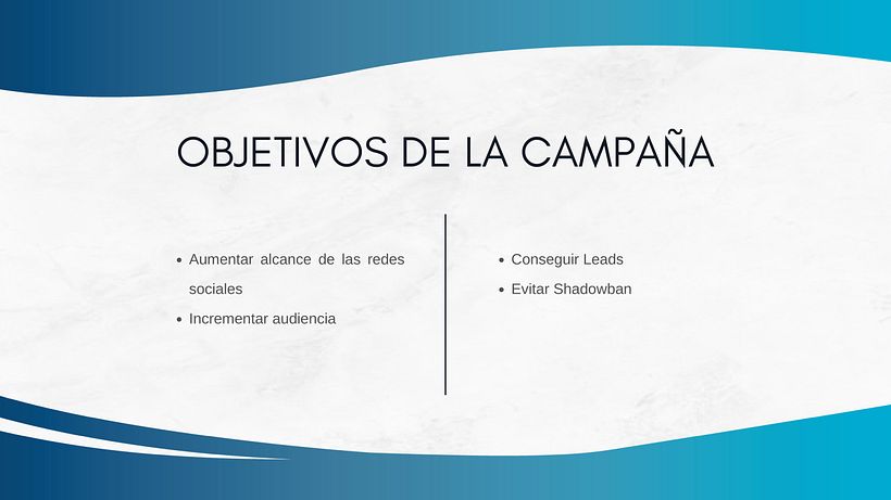 Mi proyecto del curso: Introducción al community management 2