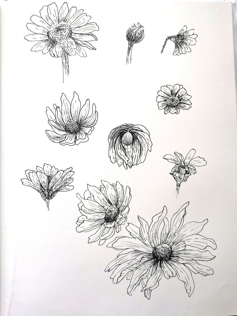 Il mio progetto del corso: Illustrazione su sketchbook con penna: sbaglia con stile 2