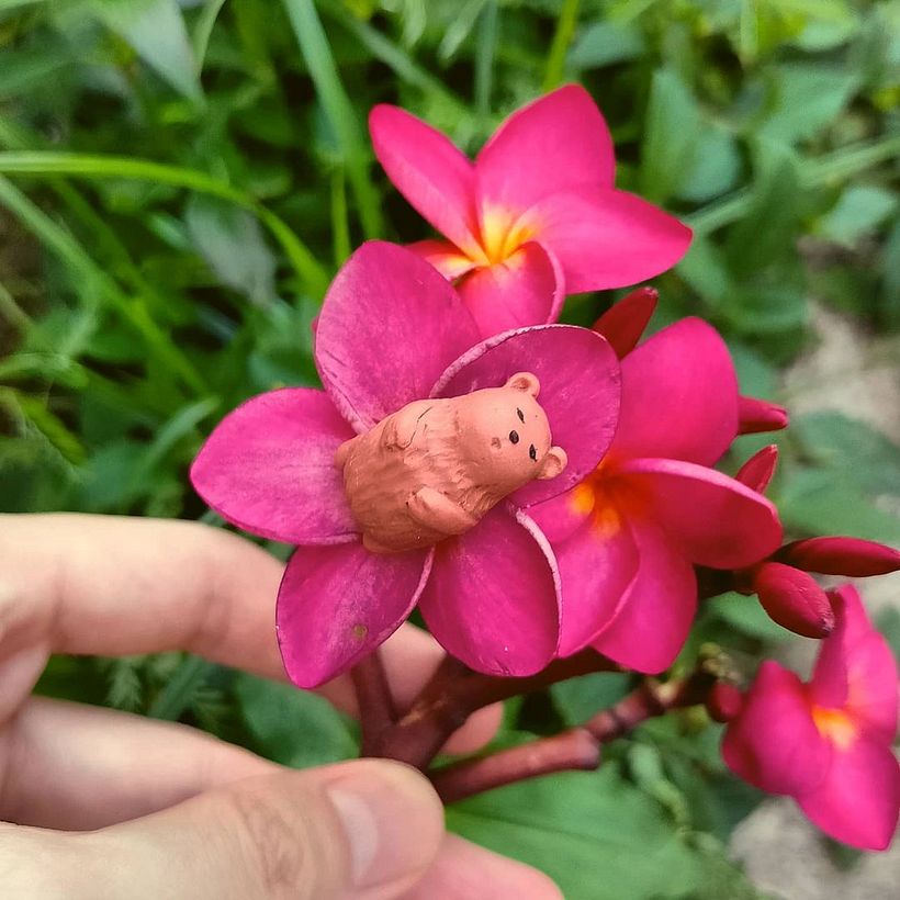 My project for course: Creating Miniature with Polymer Clay 2