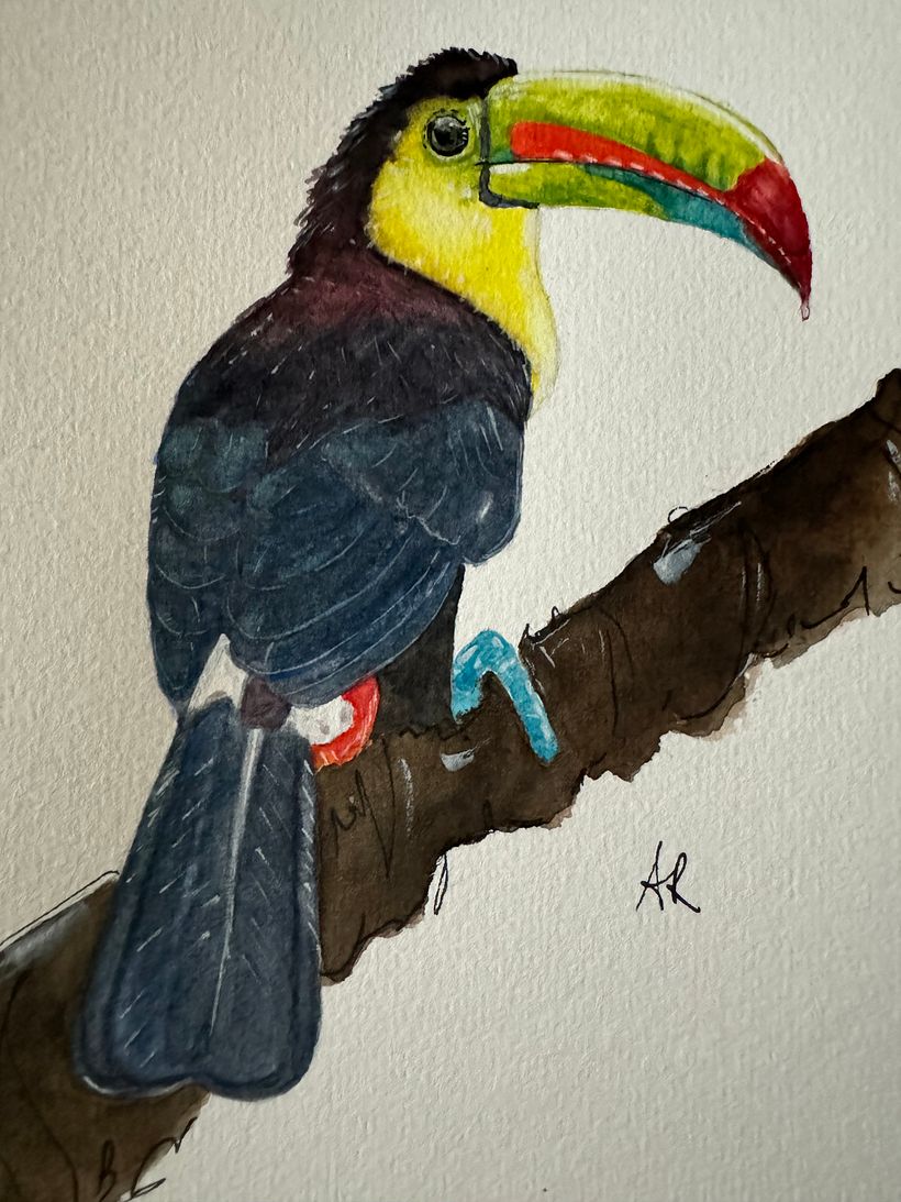 Tucano 1