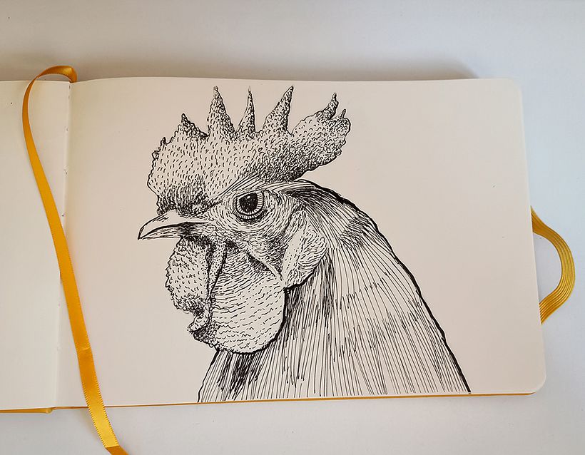 My project for course: Drawing from Observation for Beginners 2