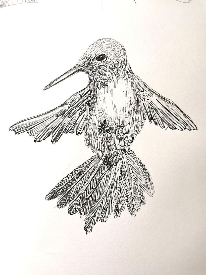 Il mio progetto del corso: Illustrazione su sketchbook con penna: sbaglia con stile 3