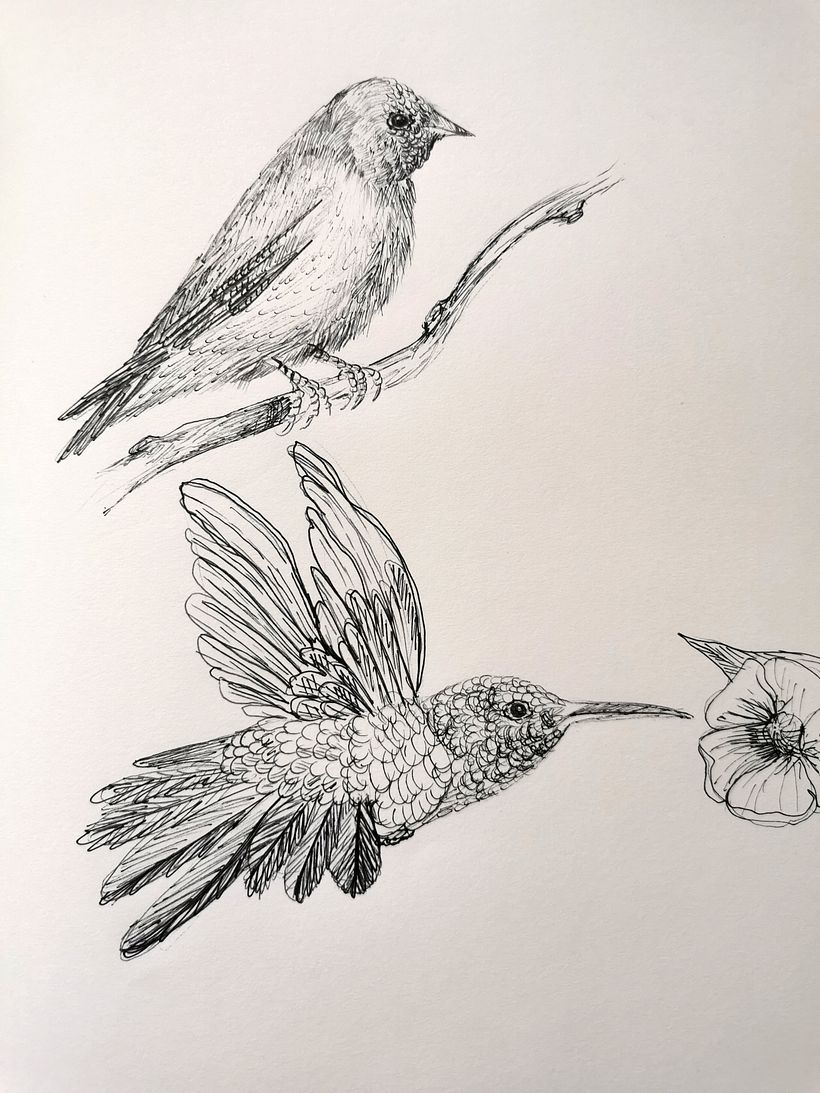 Il mio progetto del corso: Illustrazione su sketchbook con penna: sbaglia con stile 4