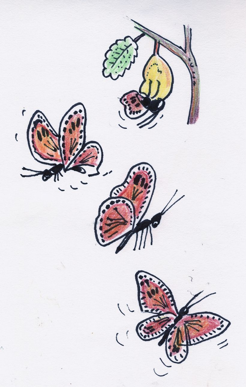 El caracol enamorado 4