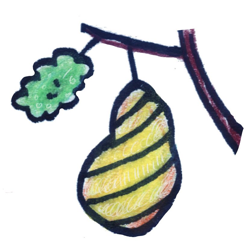 El caracol enamorado 5