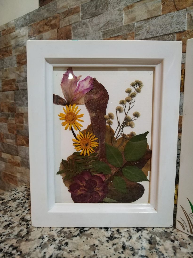 Mi proyecto del curso: Técnicas básicas de prensado botánico 2