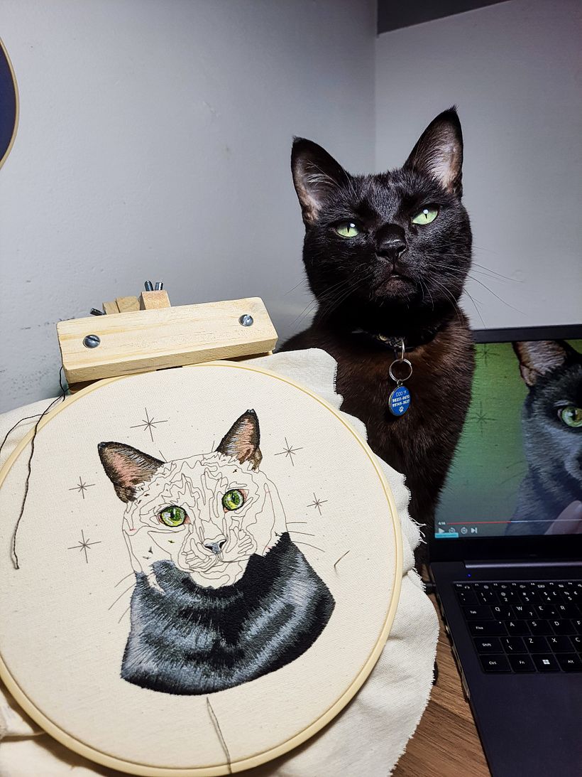 Segui o modelo do curso, mas em breve vou me inspirar na foto do meu próprio gato.