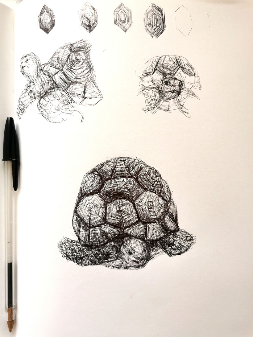 Il mio progetto del corso: Illustrazione su sketchbook con penna: sbaglia con stile 7