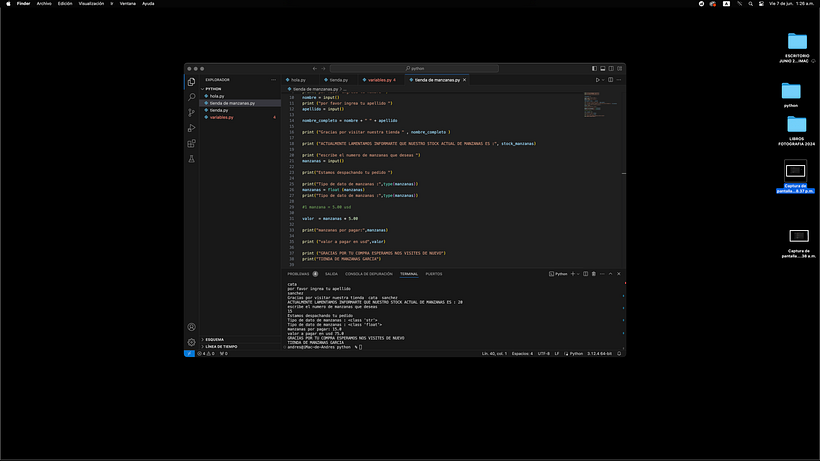 Mi proyecto del curso: Introducción a la programación con Python 1