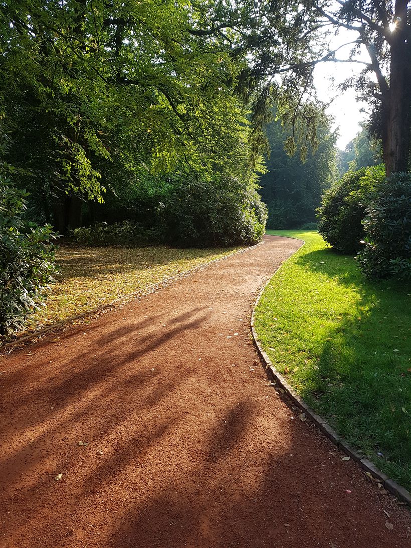 El camino se hace al andar