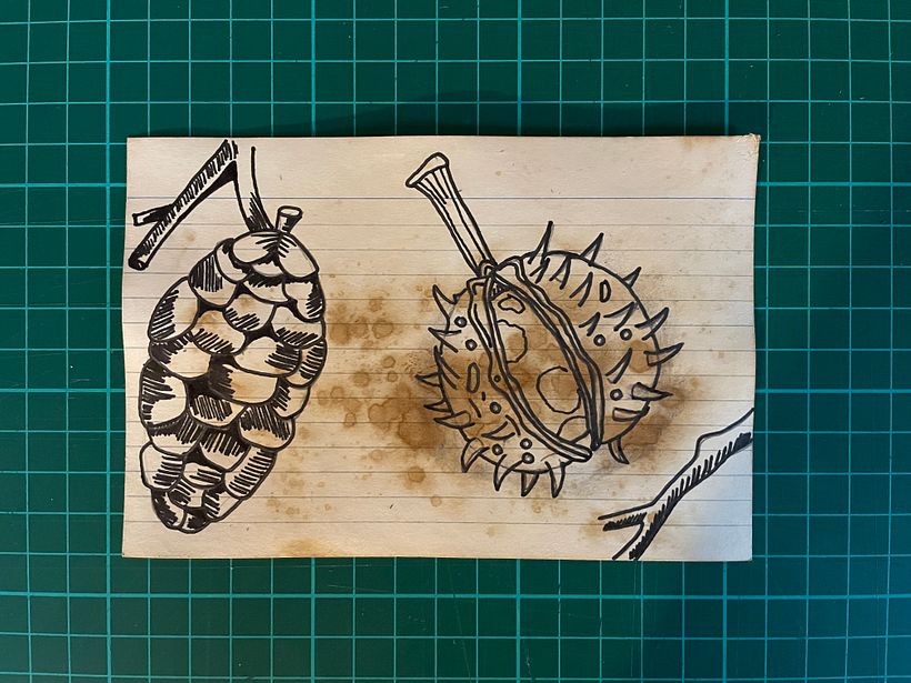 My project for course: Illustrated Travel Sketchbook: Recording Nature 2