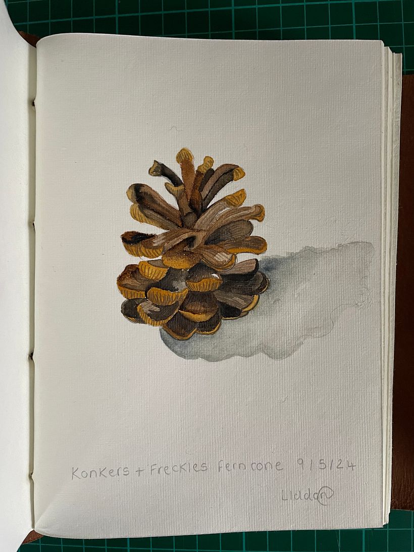 My project for course: Illustrated Travel Sketchbook: Recording Nature 4