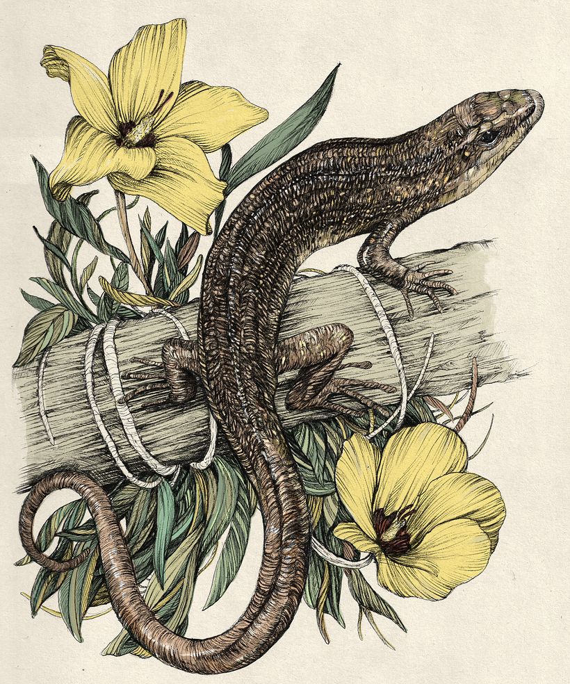 Extinction Obituaries 4
