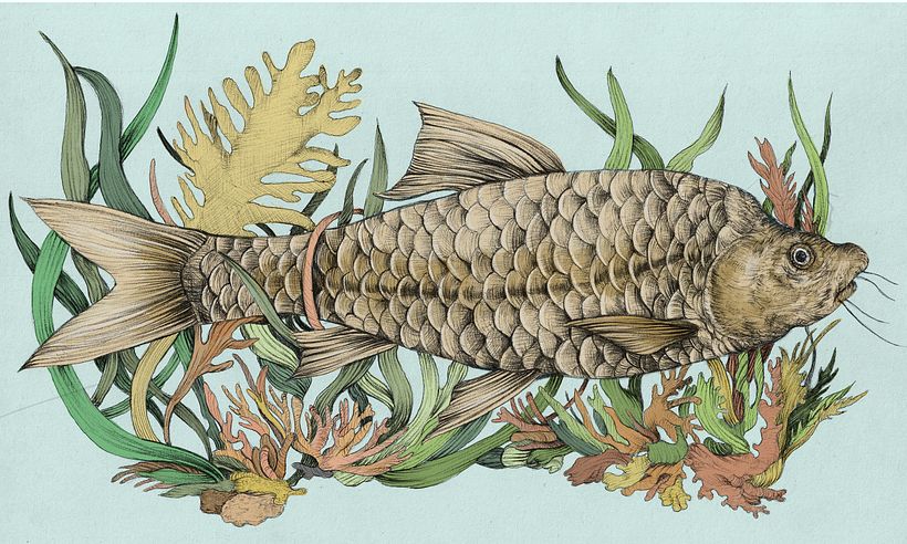 Extinction Obituaries 10