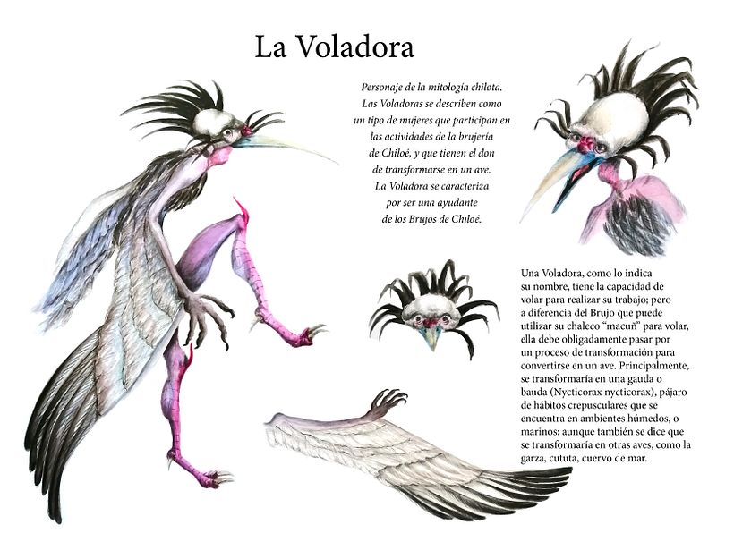 Mi proyecto del curso: Dibujos de fantasía en grafito y acuarela: guía práctica - Diseño de personajes