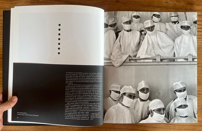 Al pasar la hoja de portadilla, revela algo más en la imagen.