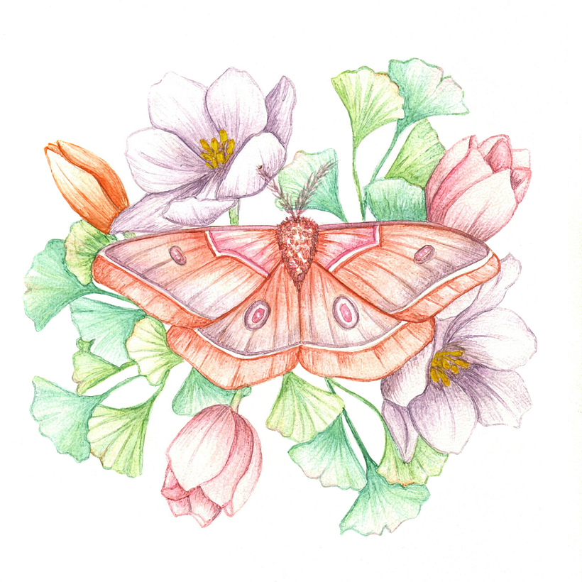 ilustracion final 