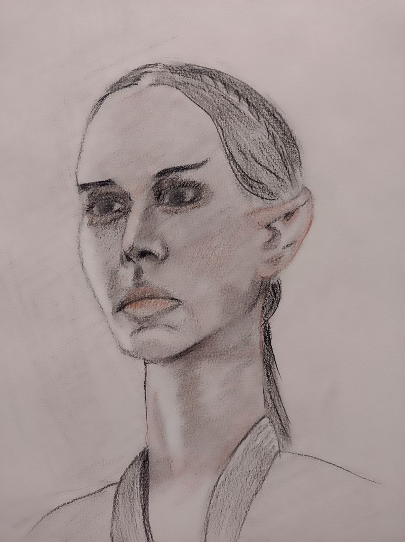 Mi proyecto del curso: Dibujo de retrato clásico: el método del Renacimiento 1
