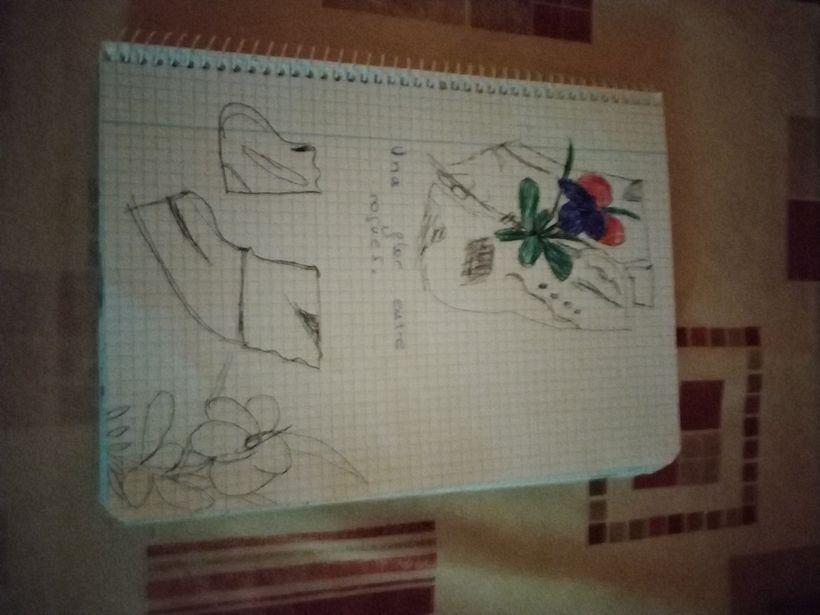 Una flor lila i roja.