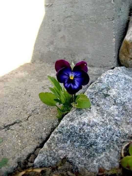 Foto de Pinterest.