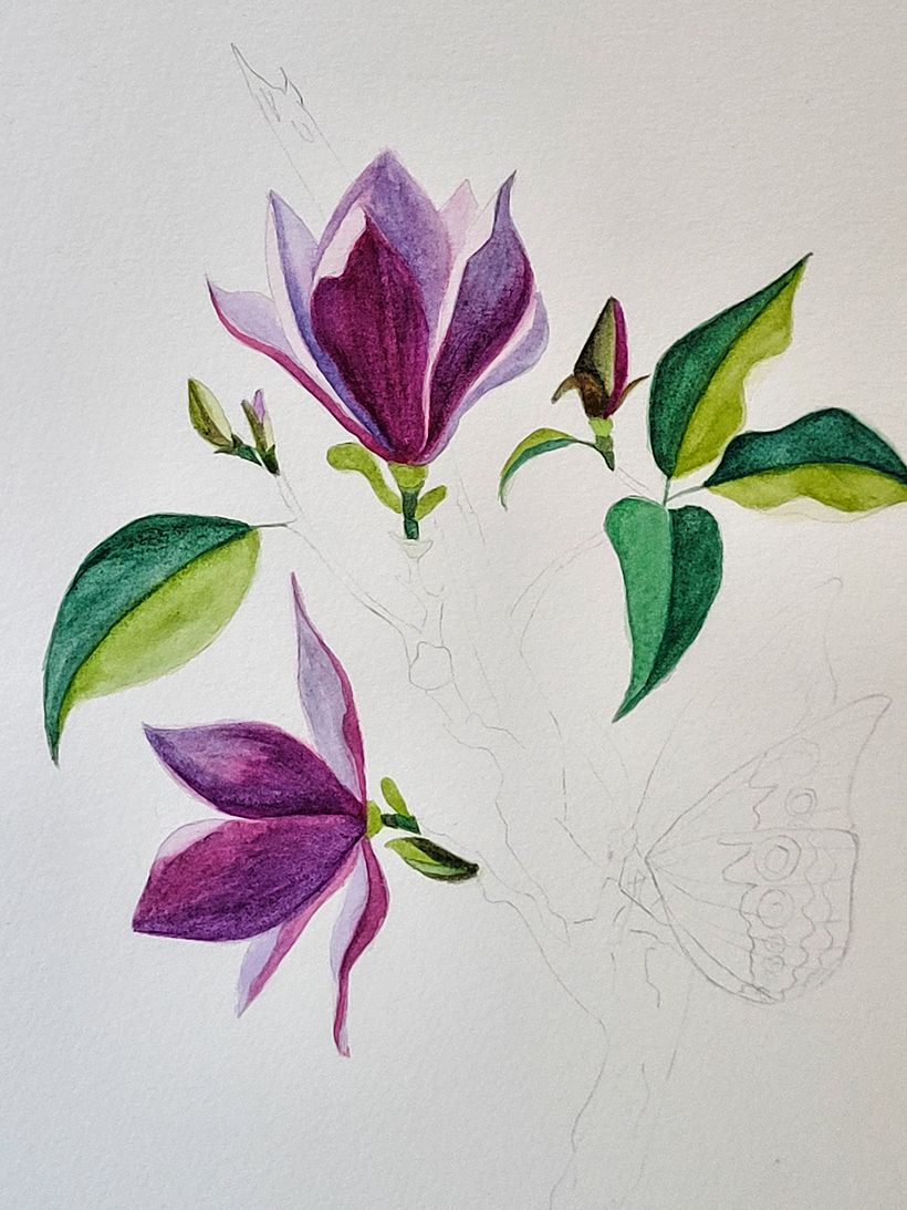 Meu projeto do curso: Ilustração naturalista com guache e aquarela 2
